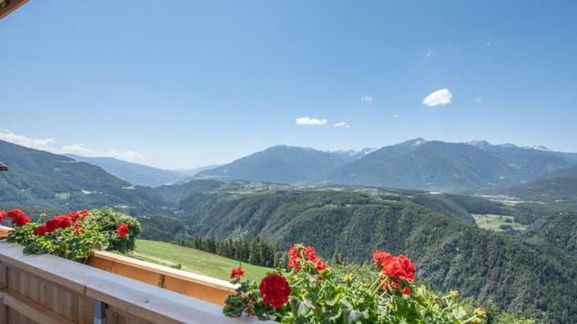 Forchnerhof Panorama - Dolomitenblick رودينغو المظهر الخارجي الصورة